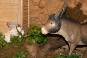 Bild 2 – 1. Advent