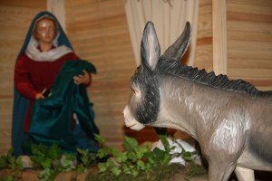 Bild 5 – 1. Advent