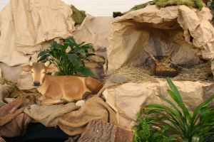 Bild 18 – 3. Advent