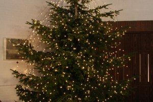 Bild 21 – 3. Advent