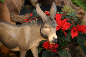 Bild 37 – Hl. Abend