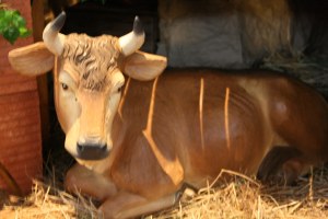 Bild 38 – Hl. Abend