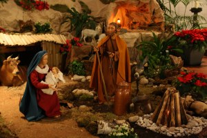 Bild 49 – 2. Sonntag im Jahreskreis