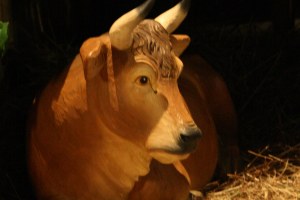 Bild 50 – 2. Sonntag im Jahreskreis