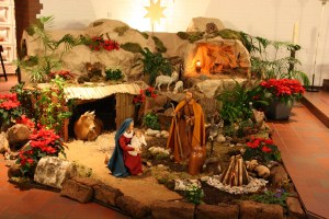 Bild 51 – 2. Sonntag im Jahreskreis