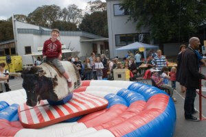 Bild 5 – Foto: Greve