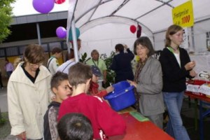 Bild 11 – Foto: Greve