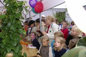 Bild 17 – Foto: Greve